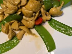 -伊帆食府·青海地方特色美食