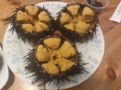 超大紫海胆-海胆小馆(东北水饺·春柳店)