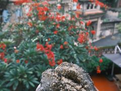 -叶氏麻糍(鼓浪屿店)