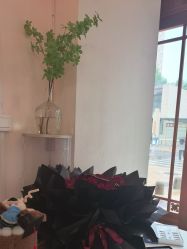 -禾壹净·素颜美问题肌肤修护中心