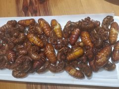 -山海经·海边人家 海鲜新青岛菜(扬州路店)