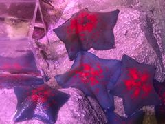 -沈阳海洋探索中心