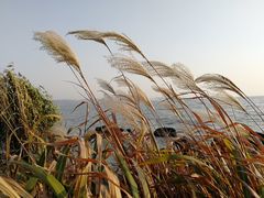 -上海市保健医疗中心(华东疗养院)