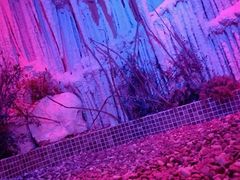 -水晶之星洗浴温泉汗蒸