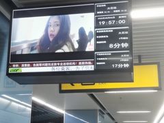 -大龙山(地铁站)