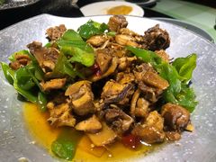 油爆走地鸡-福宝漠北·牛羊肉(广埠屯店)