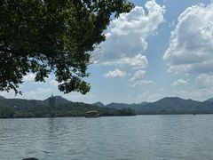 -杭州西湖柳莺里酒店·闻莺厅