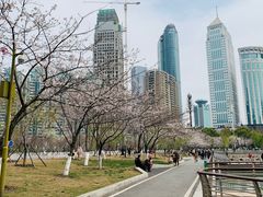 -西北湖绿化广场