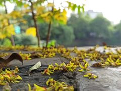 -杭州半山国家森林公园