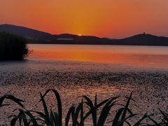 -长广溪湿地公园