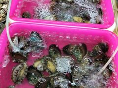 -四川人郑霞海鲜