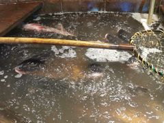 大堂-张氏鱼庄