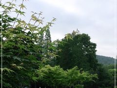 -习家池