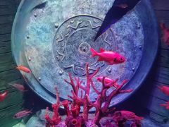 -沈阳海洋探索中心