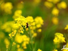 -南京金牛湖风景区