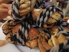 -碧涛阁·泡泡海洋·汤泉洗浴(王府花园店)