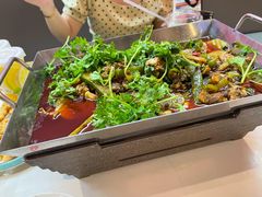 -渝蛙馆(新百店)