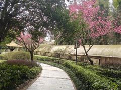 -天赐温泉