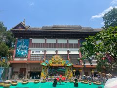 -西双版纳原始森林公园