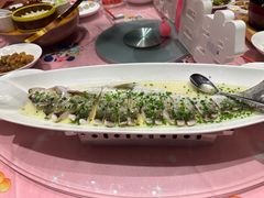 -沪碟·精菜坊(闵行店)