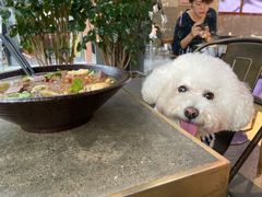 -桃园眷村(万象天地店)