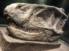 -自贡恐龙博物馆