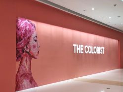 -THE COLORIST调色师