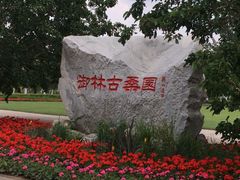 -御林古桑园