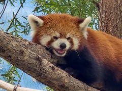 -鄂尔多斯野生动物园