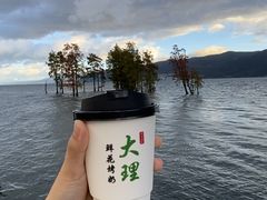 -大理洱海