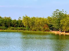 -大兴滨河森林公园