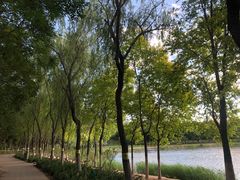 -大兴滨河森林公园