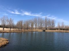 -东郊湿地公园