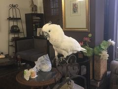-大唐名家·息壤店