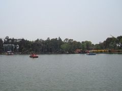 -上海鲜花港