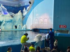 -福州罗源湾海洋世界旅游区