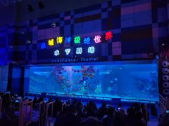 -泉城欧乐堡海洋极地世界