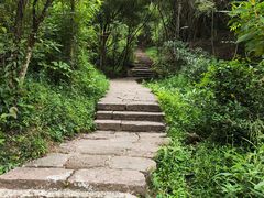 -武夷山风景名胜区-虎啸岩