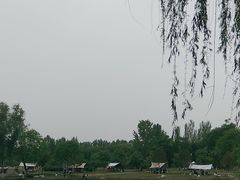-西安浐灞国家湿地公园