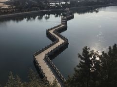 -莫内艺术岛海景咖啡