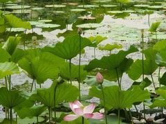 -承德避暑山庄景区