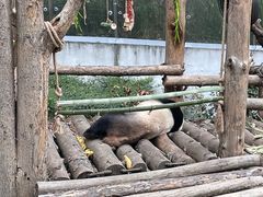 -黔灵山公园