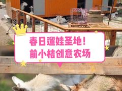 -前小桔亲子创意农场·草莓采摘·露营烧烤