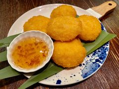 虾饼-浩海火烧云傣家菜(京广店)