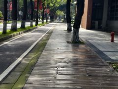 -四川大学(望江校区)