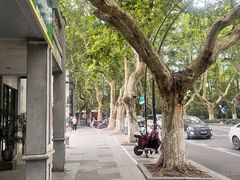 -也枫·小黄楼(南山路旗舰店)