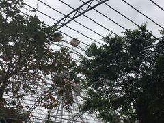 -珠海圆明新园