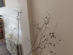 -团子君寿司·茶