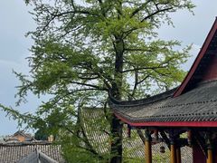 -金堂县云顶石城风景区
