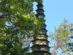 -文瀛公园